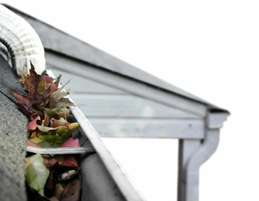 intro-gutter-cleaning.webp